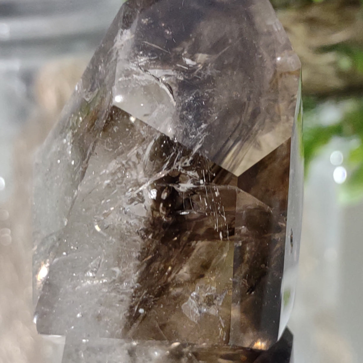 Inclusion Quartz Point - Very High Grade - Layers of Smoky and Clear (6.6cm) - 219g from Green Door Living
