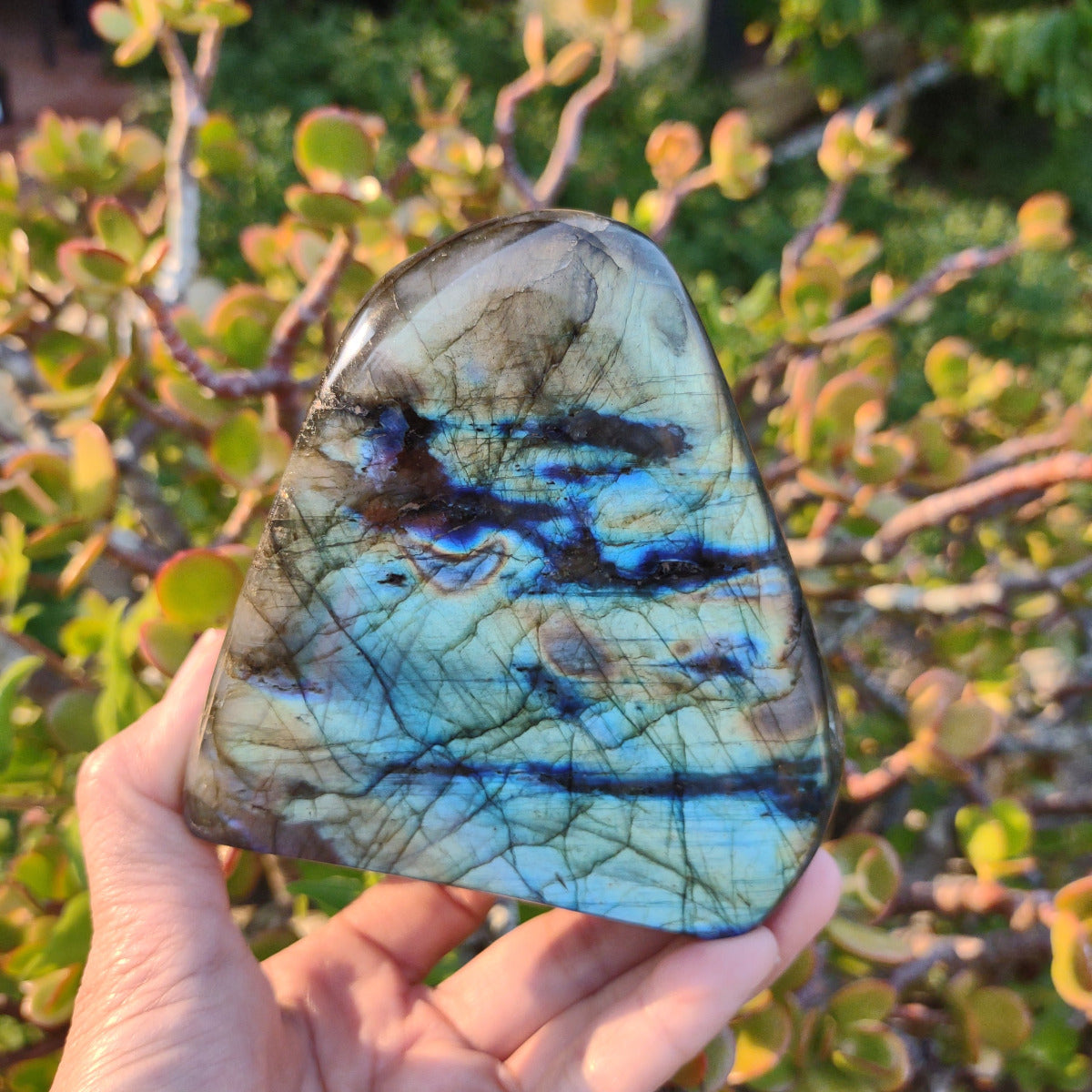 Blue offers Flash Freeform Labradorite