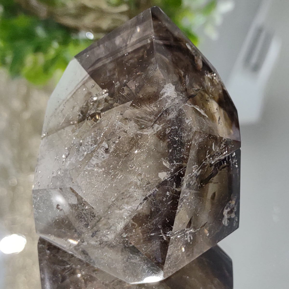 Inclusion Quartz Point - Very High Grade - Layers of Smoky and Clear (6.6cm) - 219g from Green Door Living