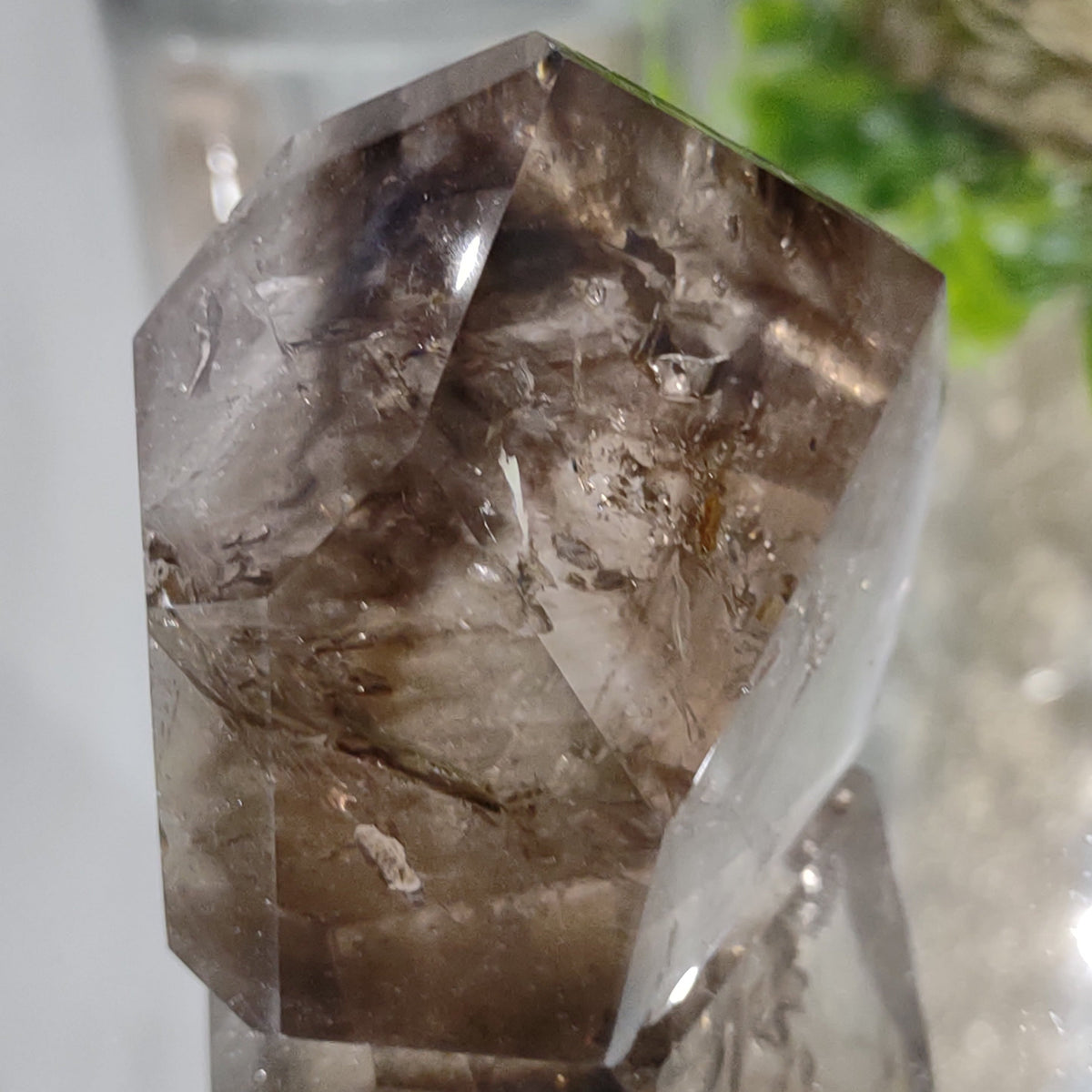Inclusion Quartz Point - Very High Grade - Layers of Smoky and Clear (6.6cm) - 219g from Green Door Living