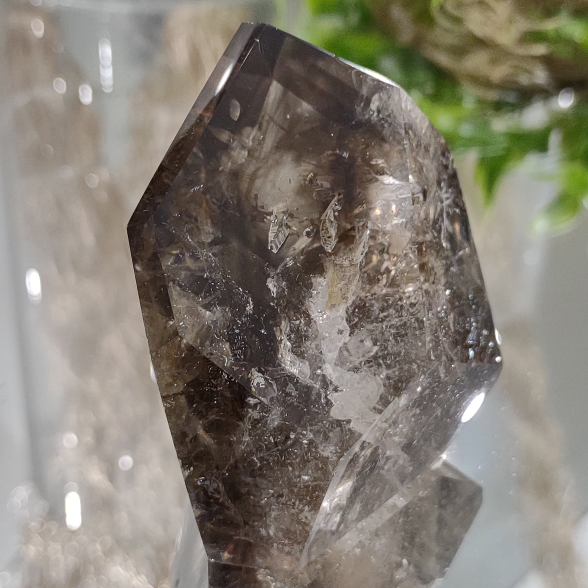Inclusion Quartz Point - Very High Grade - Layers of Smoky and Clear (6.6cm) - 219g from Green Door Living