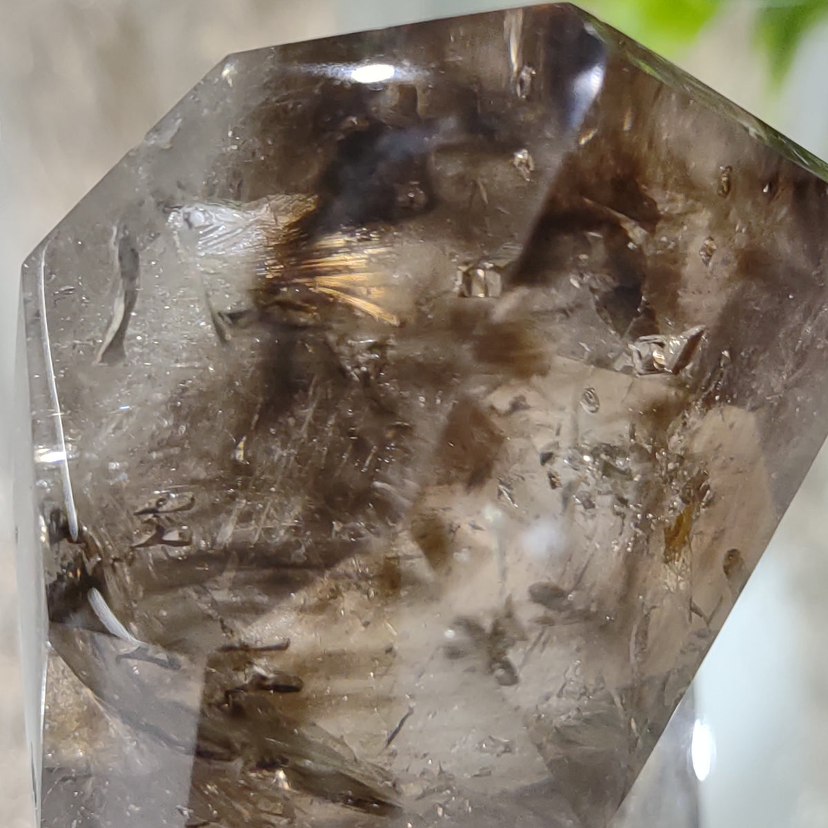 Inclusion Quartz Point - Very High Grade - Layers of Smoky and Clear (6.6cm) - 219g from Green Door Living