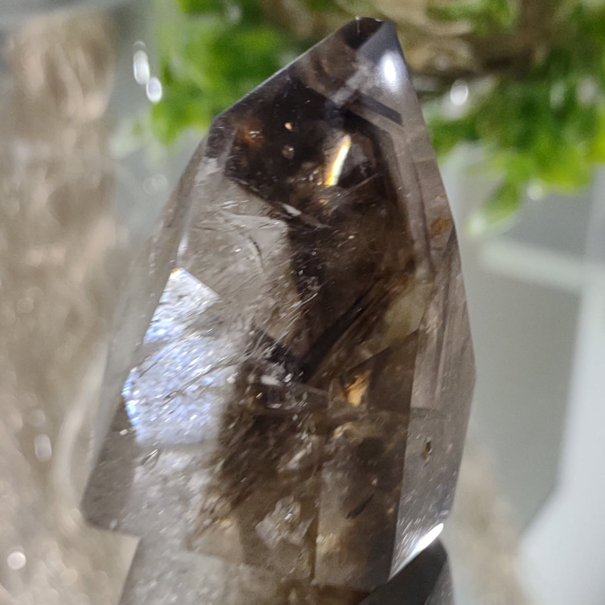 Inclusion Quartz Point - Very High Grade - Layers of Smoky and Clear (6.6cm) - 219g from Green Door Living
