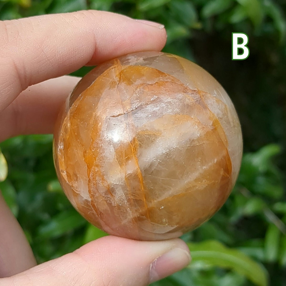 Golden Healer Sphere (4.8-5.5cm) - 150-199g from Green Door Living GHS06-003 B