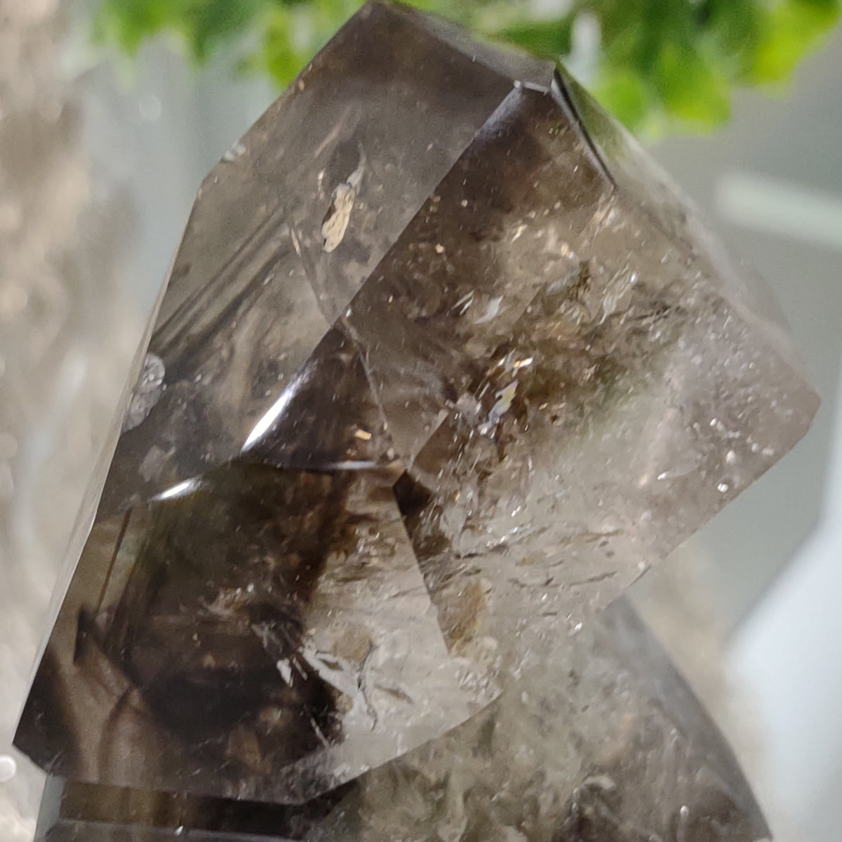 Inclusion Quartz Point - Very High Grade - Layers of Smoky and Clear (6.6cm) - 219g from Green Door Living
