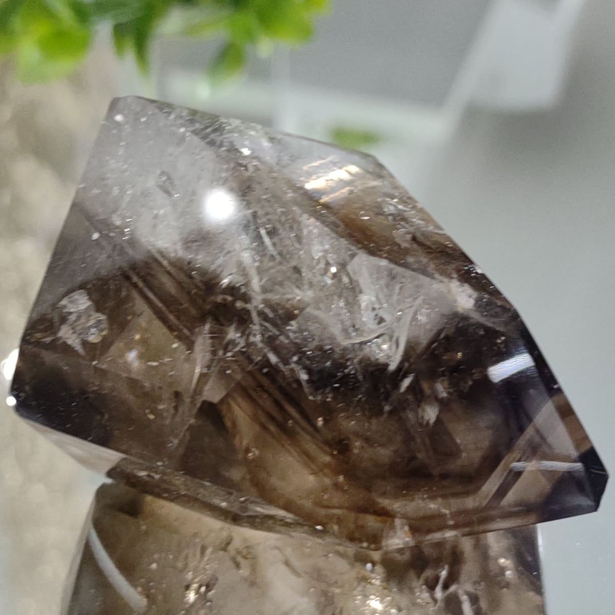 Inclusion Quartz Point - Very High Grade - Layers of Smoky and Clear (6.6cm) - 219g from Green Door Living