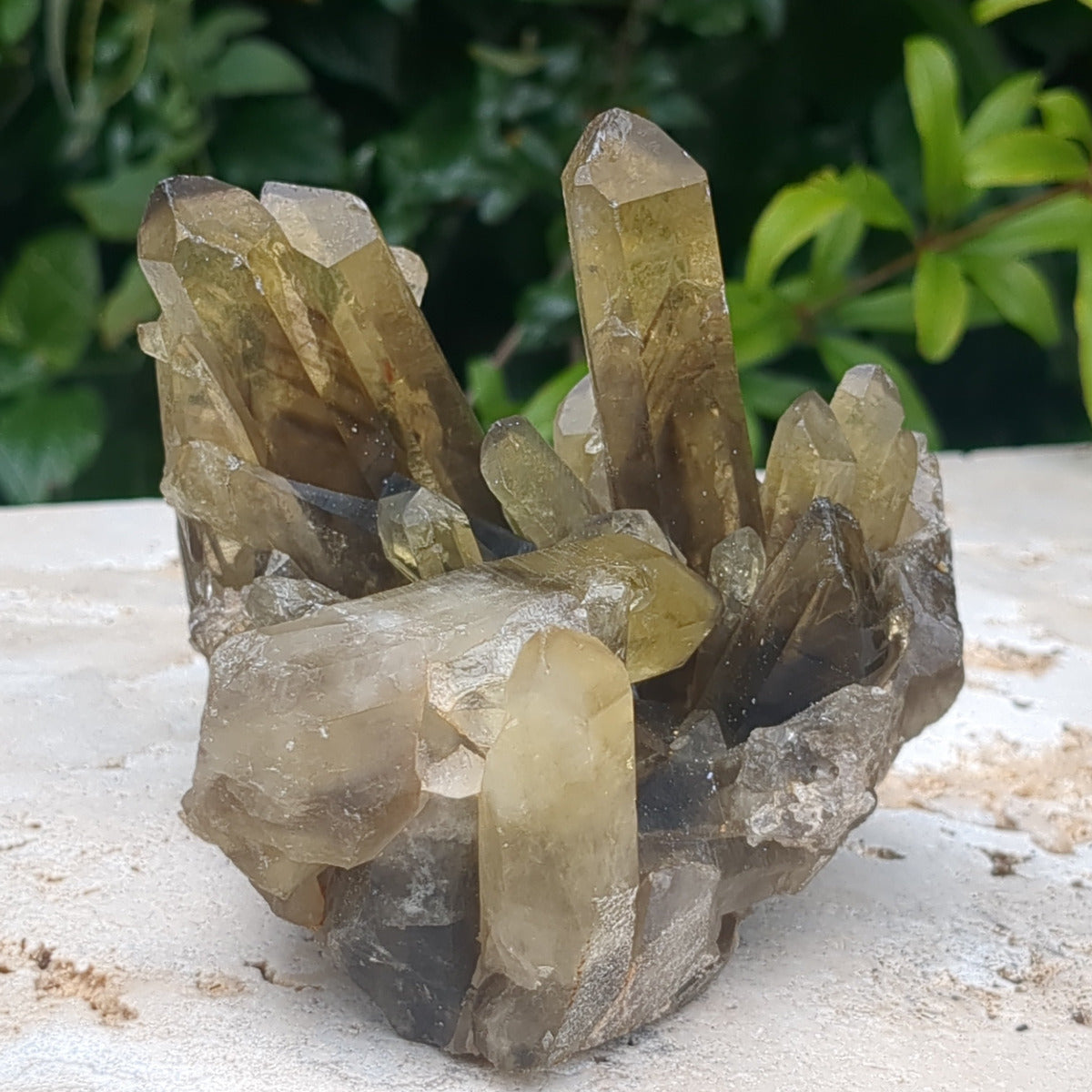 Citrine Cluster natural with mulitple phantom points (12cm) - 621g