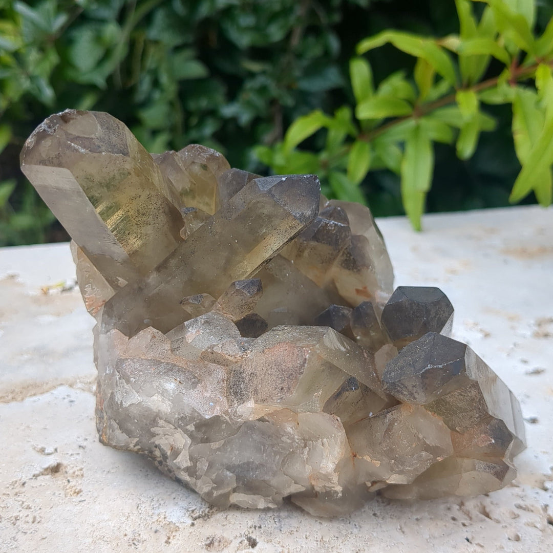 Citrine Cluster natural with mulitple points and rainbows (16cm) - 1.34kg