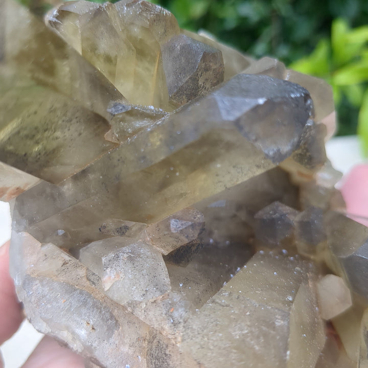 Citrine Cluster natural with mulitple points and rainbows (16cm) - 1.34kg
