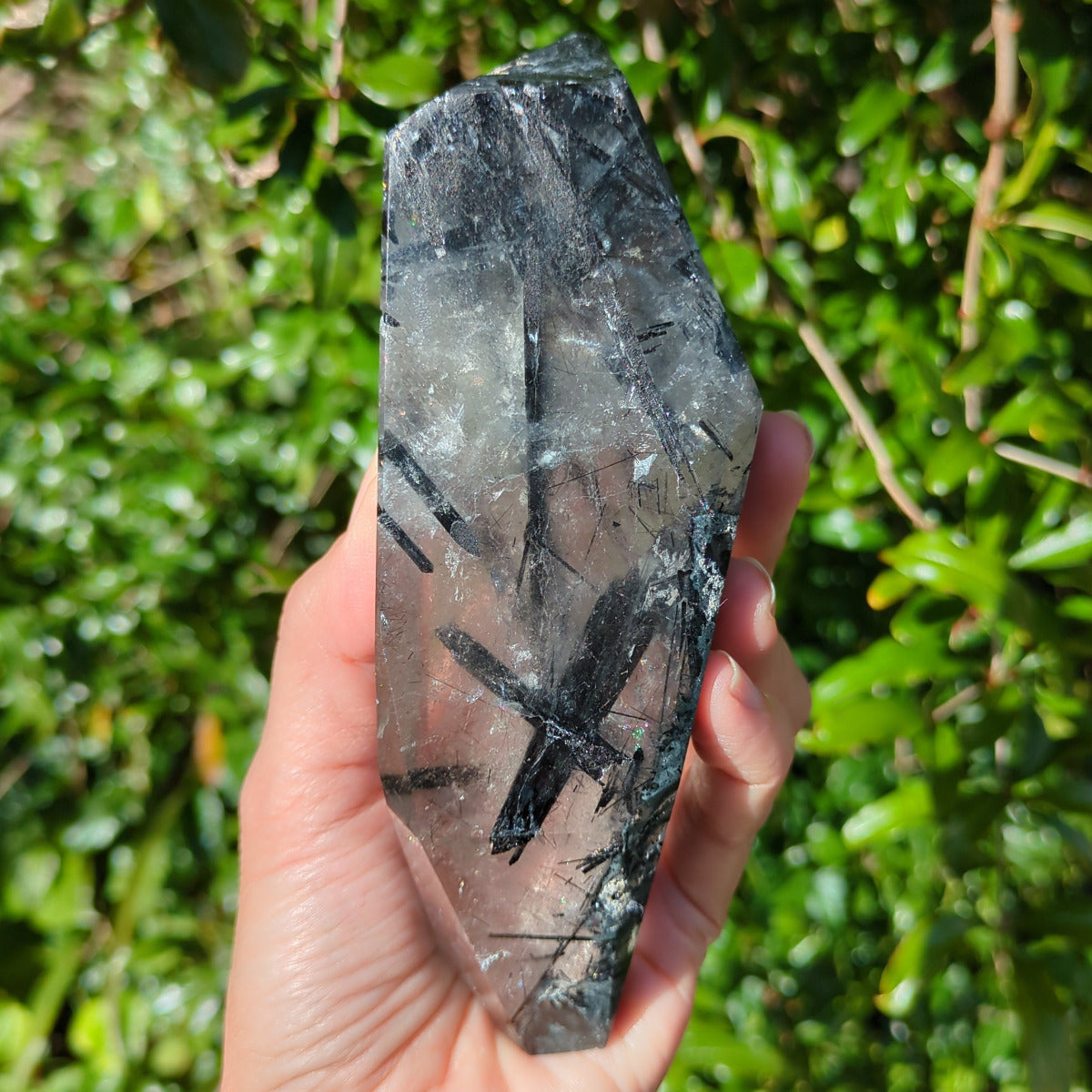 Tourmalinated Quartz Freeform (14.7cm) - 410g