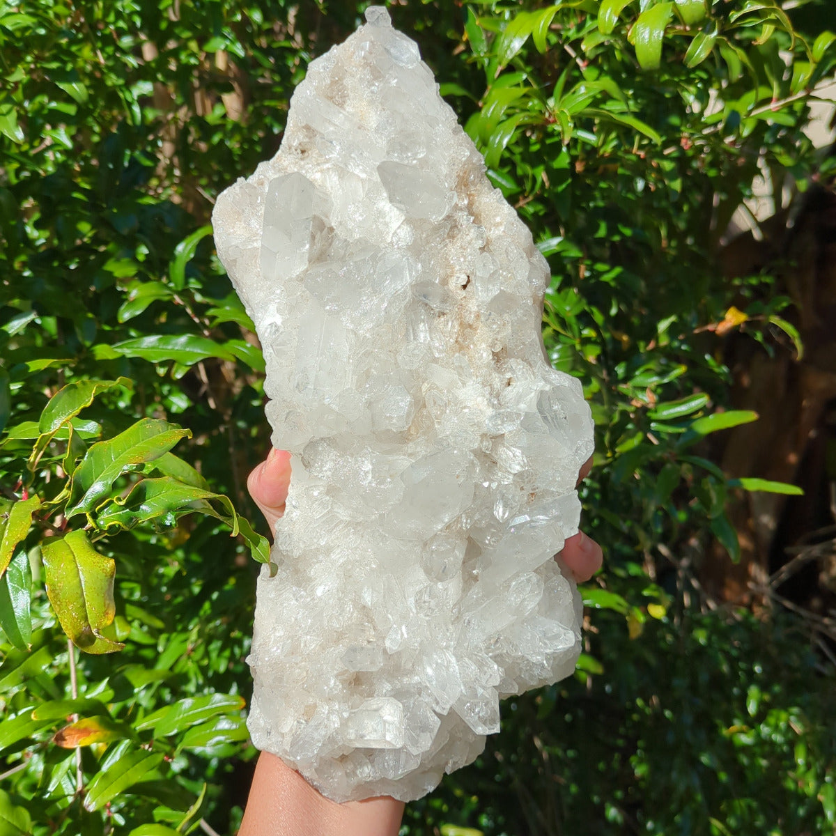 Clear Quartz Cluster - Tabletop piece (29.7cm) - 2.3kg