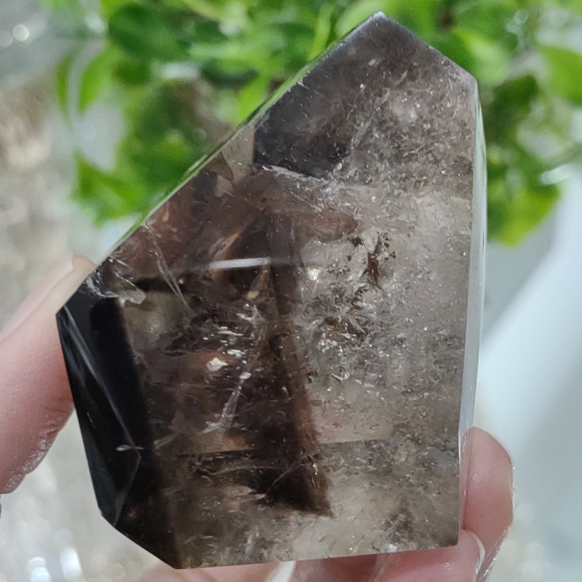 Inclusion Quartz Point - Very High Grade - Layers of Smoky and Clear (6.6cm) - 219g from Green Door Living
