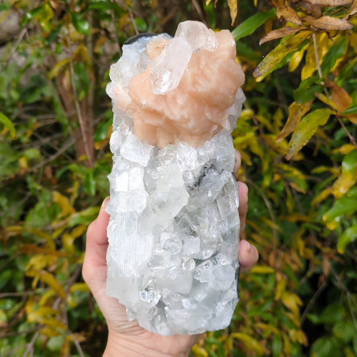 Apophyllite Cluster 'Glass' with Stilbite (18.4cm) - 1.58kg - Very high quality from Green Door Living