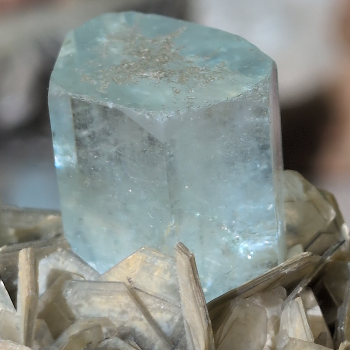 Aquamarine Specimen with Muscovite (10cm) - 671g from Green Door Living