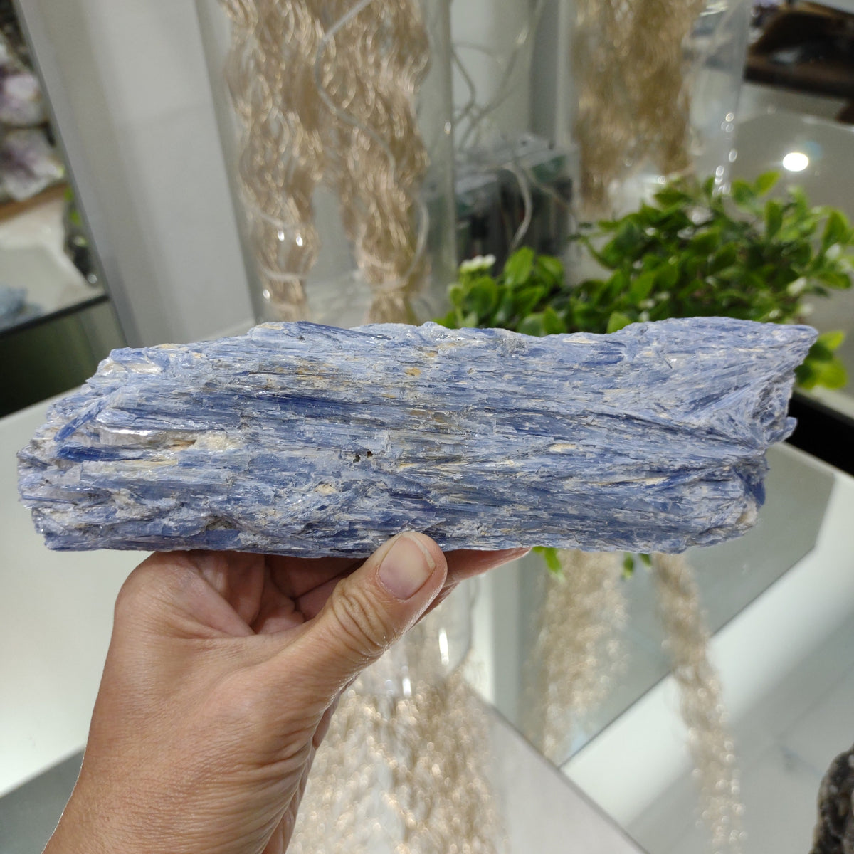 Blue Kyanite Blade - A Grade (20cm) - 720g from Green Door Living