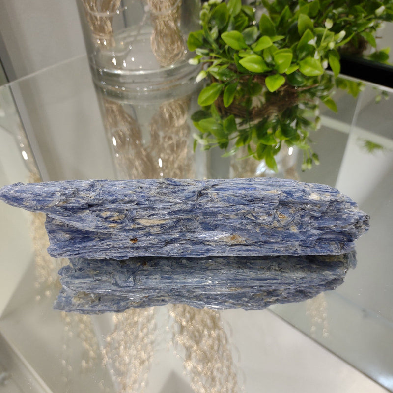 Blue Kyanite Blade - A Grade (20cm) - 720g from Green Door Living