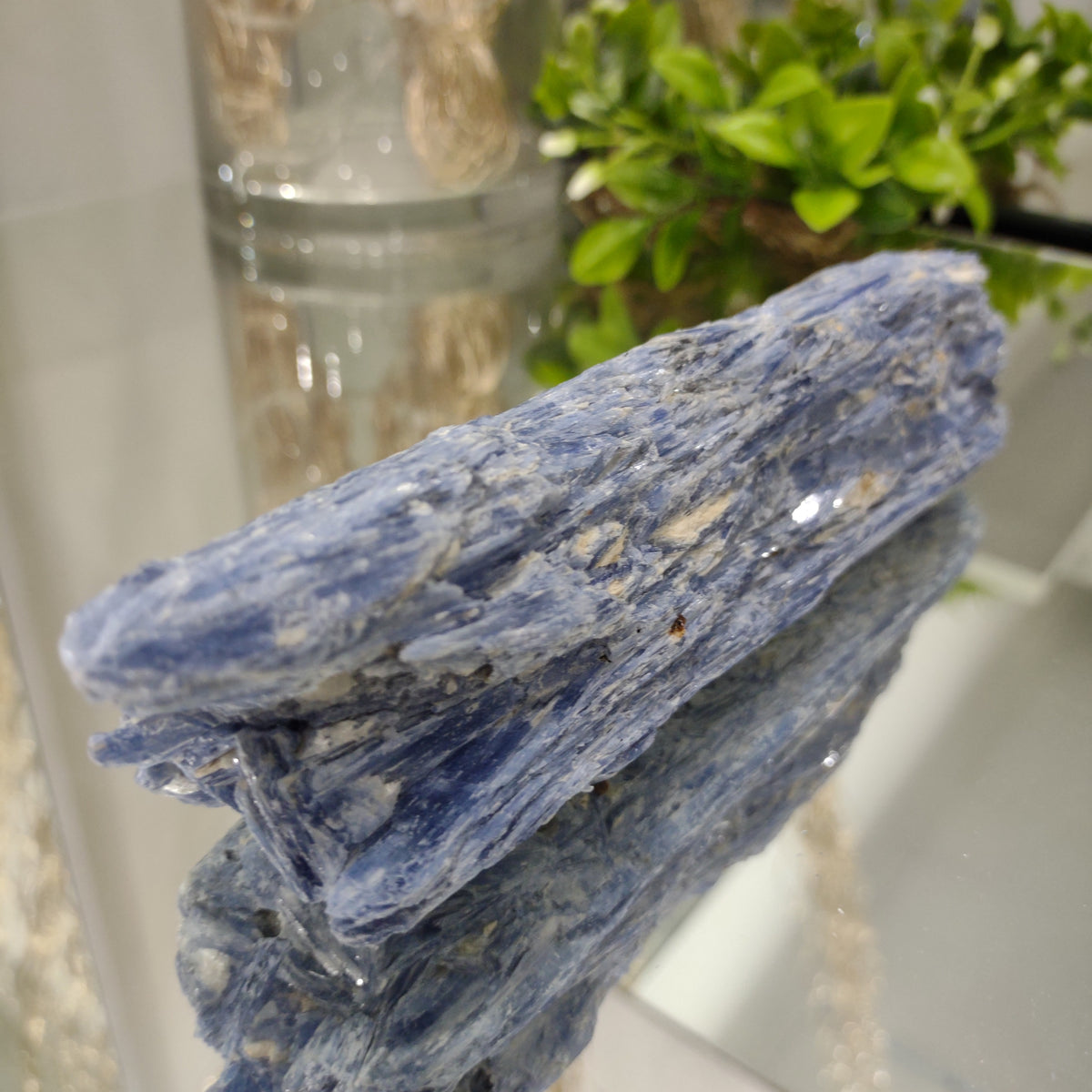 Blue Kyanite Blade - A Grade (20cm) - 720g from Green Door Living