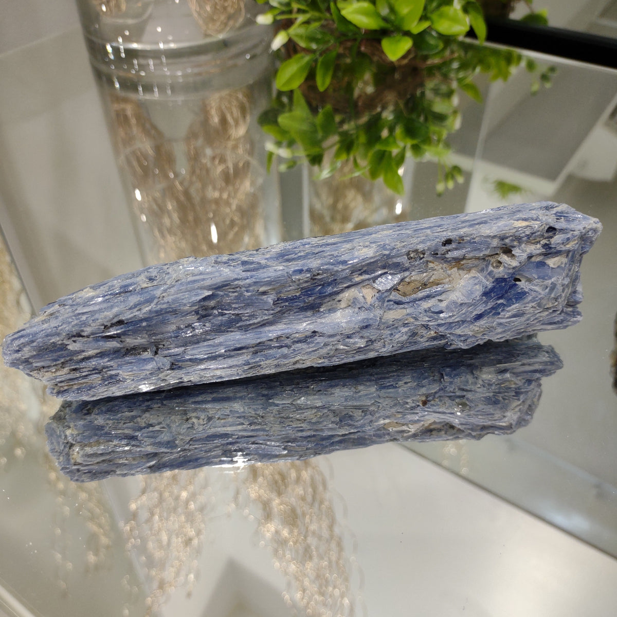 Blue Kyanite Blade - A Grade (20cm) - 720g from Green Door Living