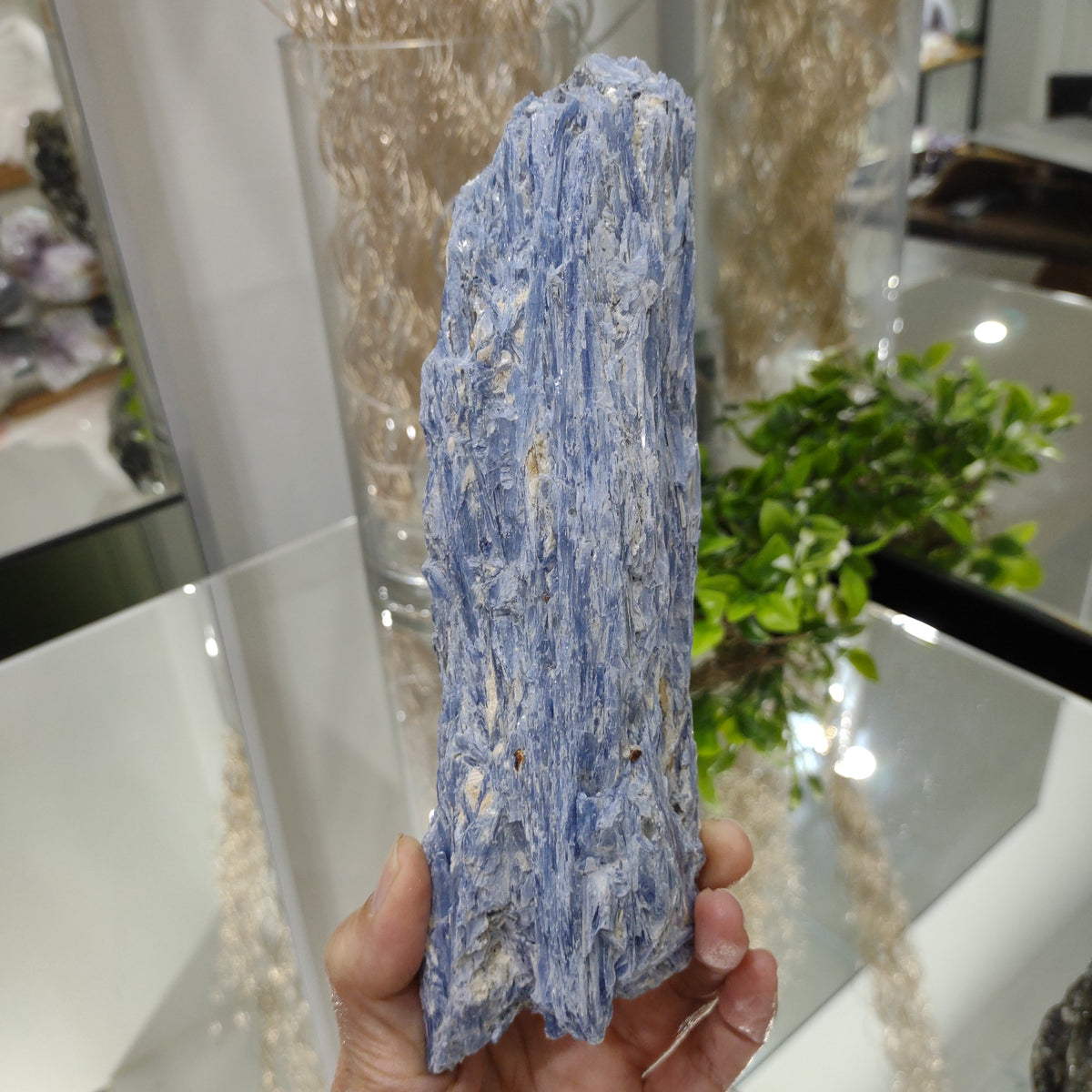 Blue Kyanite Blade - A Grade (20cm) - 720g from Green Door Living