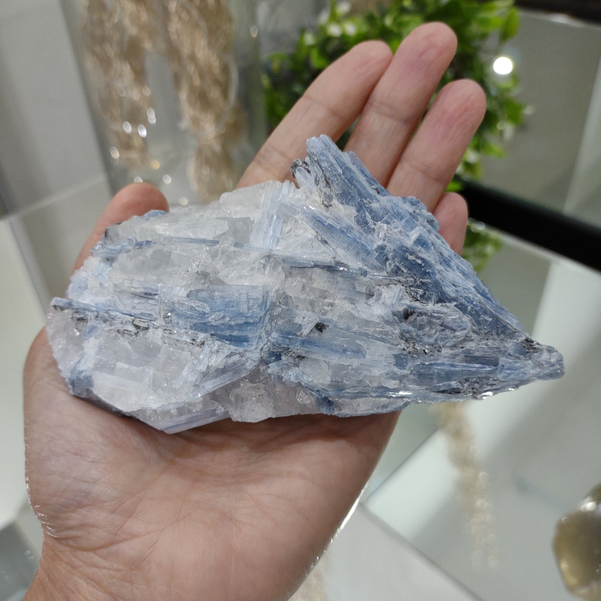 Blue Kyanite cluster with clear quartz (12cm) - 288g from Green Door Living