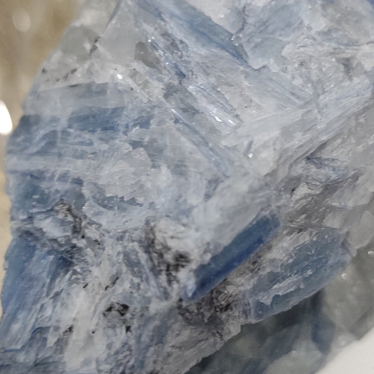 Blue Kyanite cluster with clear quartz (12cm) - 288g from Green Door Living