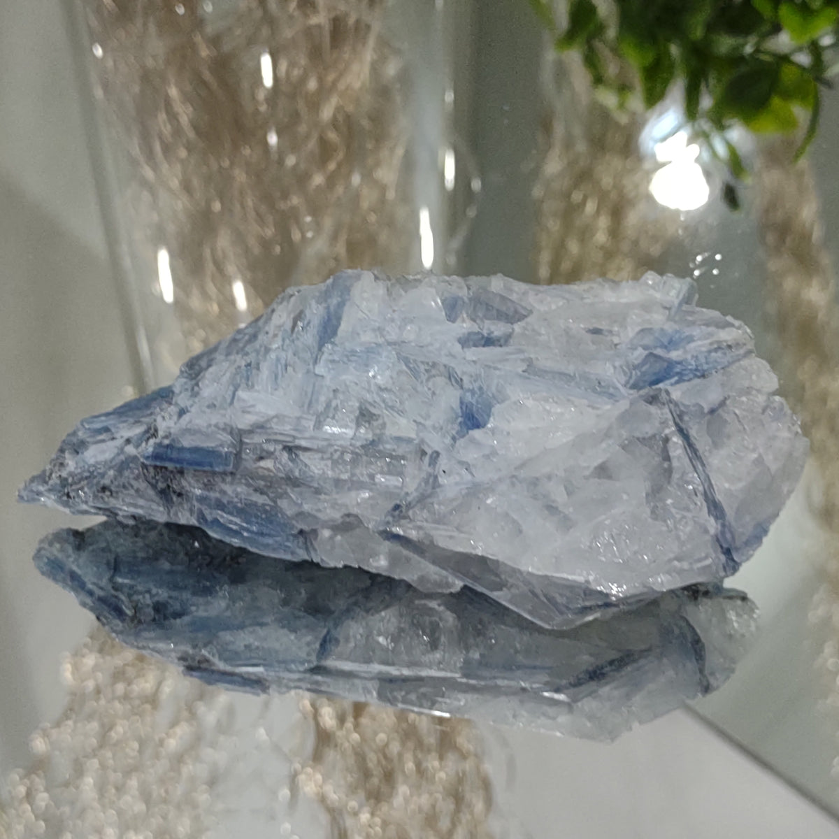 Blue Kyanite cluster with clear quartz (12cm) - 288g from Green Door Living