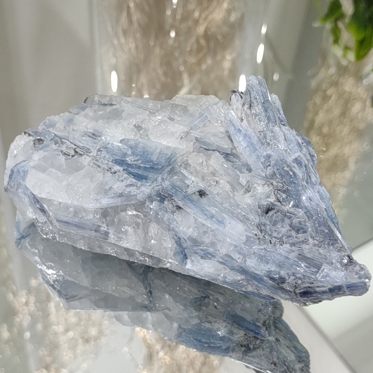 Blue Kyanite cluster with clear quartz (12cm) - 288g from Green Door Living