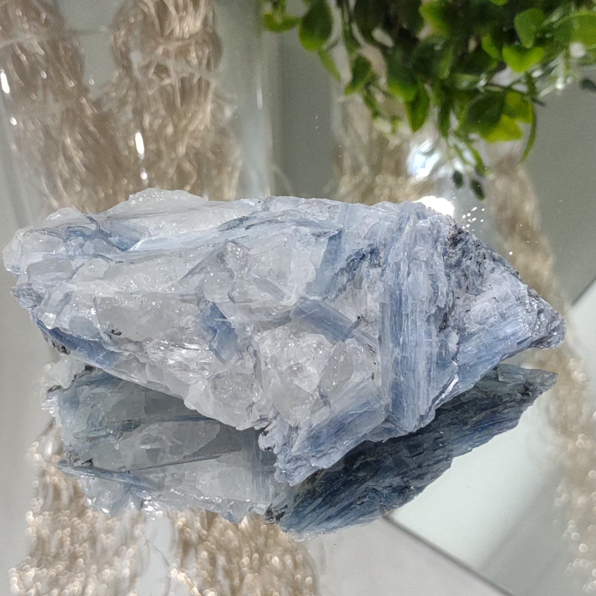 Blue Kyanite cluster with clear quartz (12cm) - 288g from Green Door Living