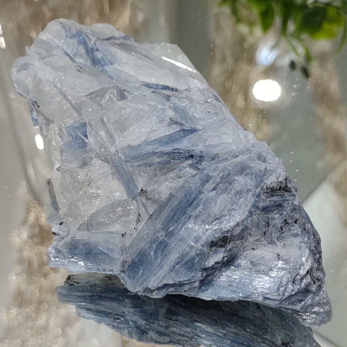Blue Kyanite cluster with clear quartz (12cm) - 288g from Green Door Living