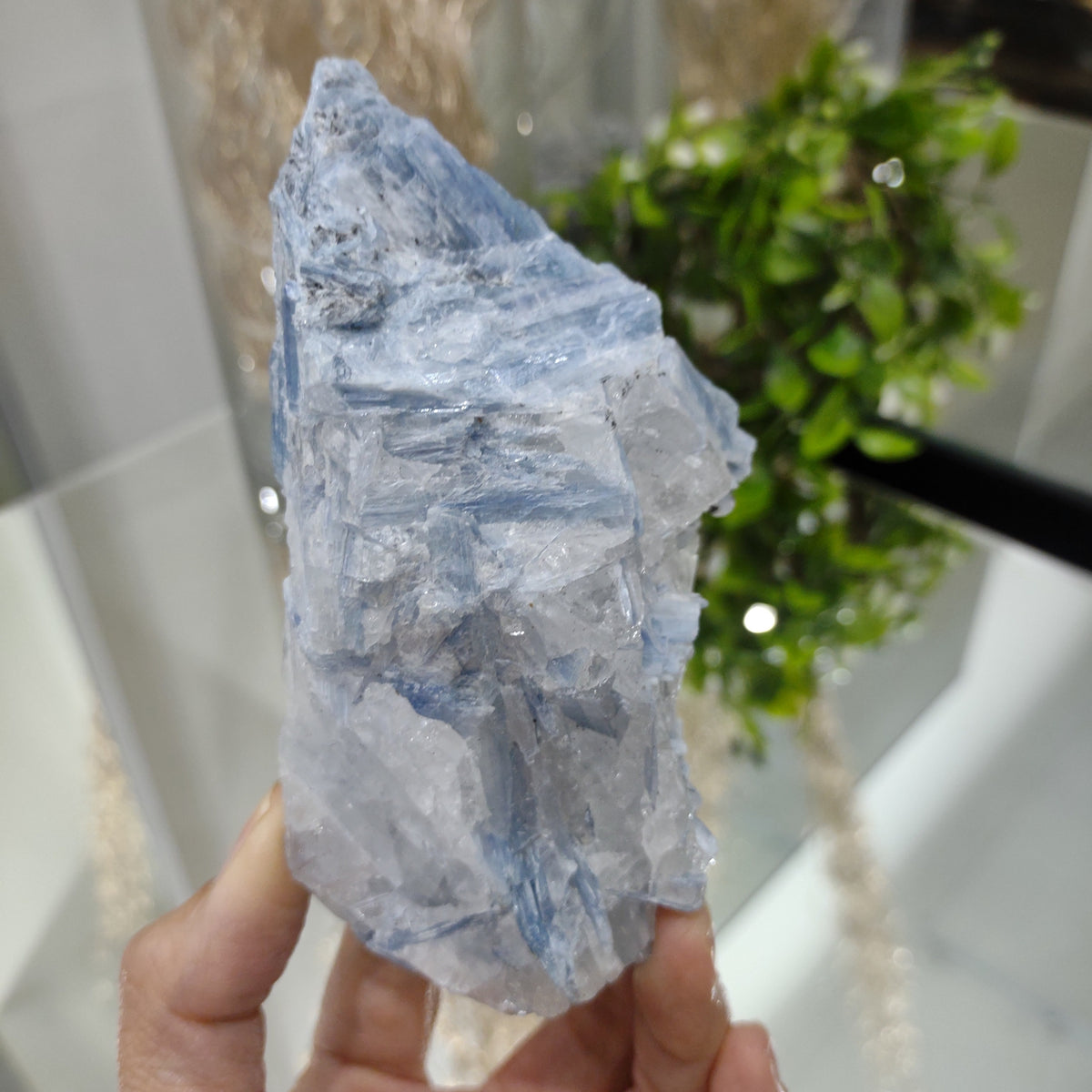 Blue Kyanite cluster with clear quartz (12cm) - 288g from Green Door Living