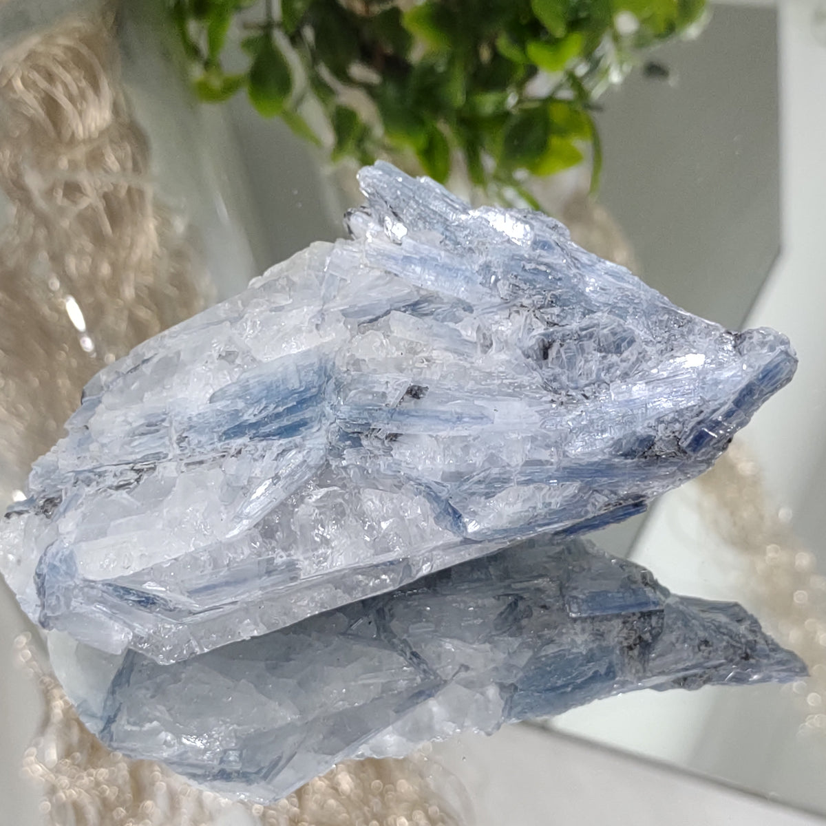 Blue Kyanite cluster with clear quartz (12cm) - 288g from Green Door Living
