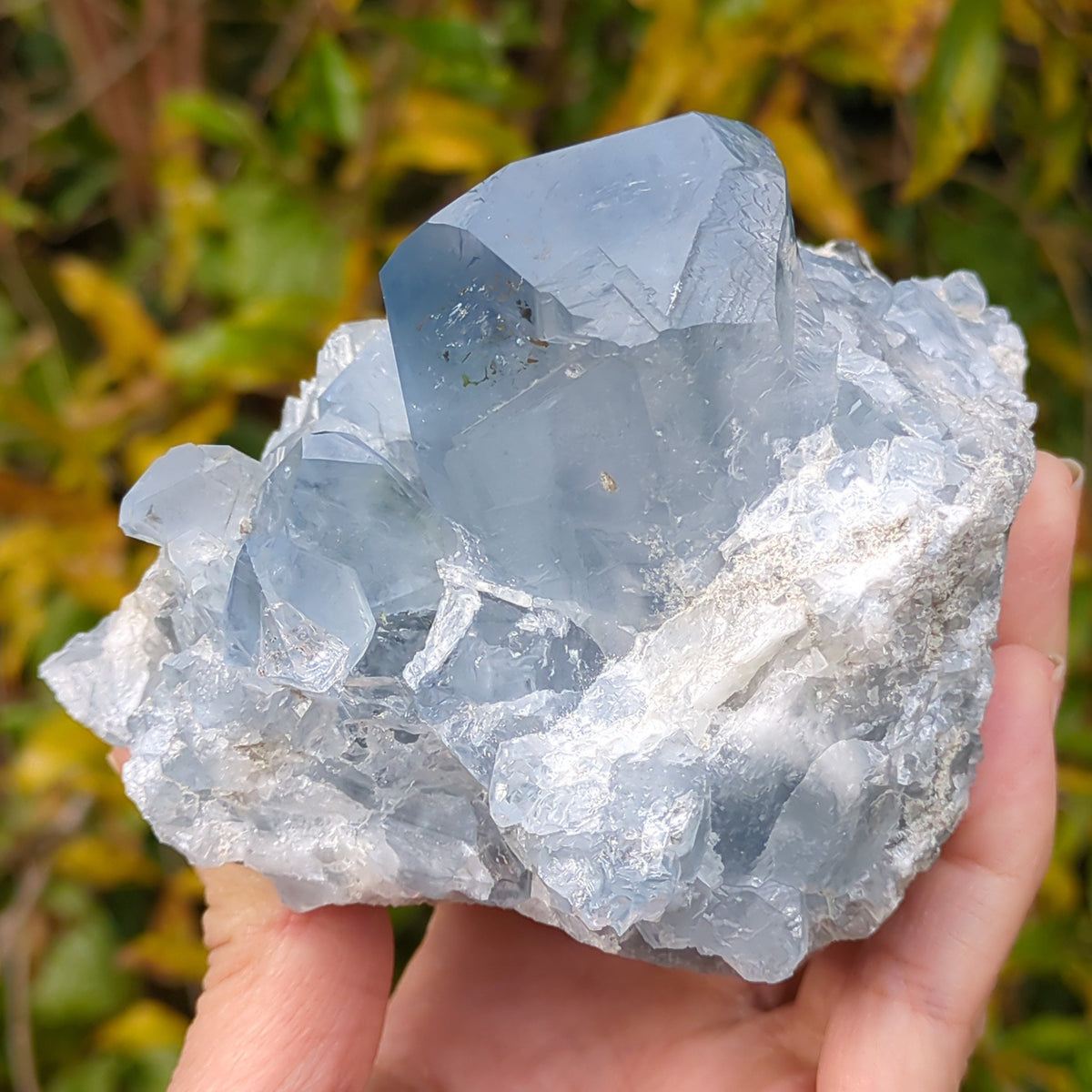 Celestite Cluster - Dark Blue from Green Door Living