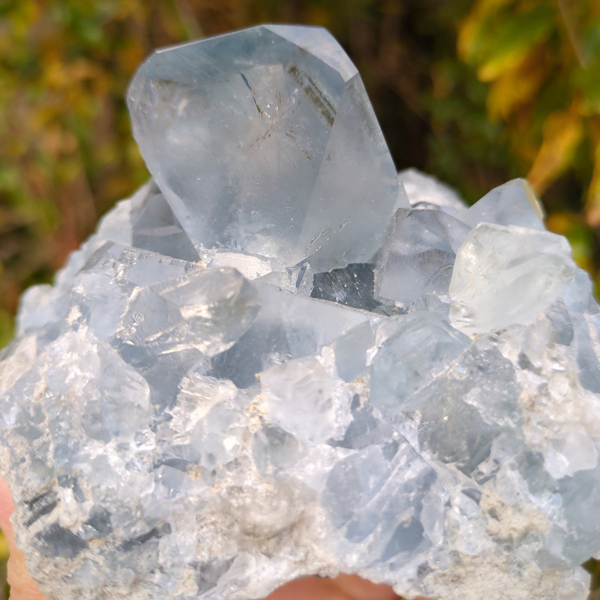 Celestite Cluster - Dark Blue from Green Door Living