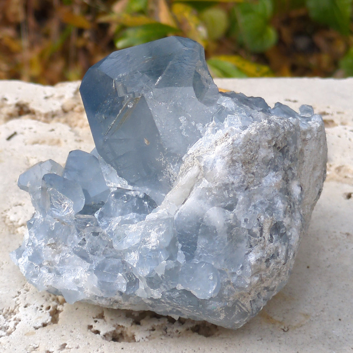 Celestite Cluster - Dark Blue from Green Door Living