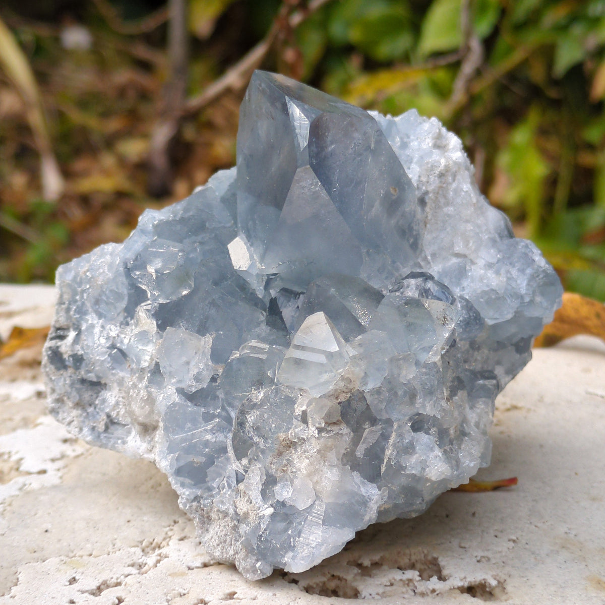 Celestite Cluster - Dark Blue from Green Door Living