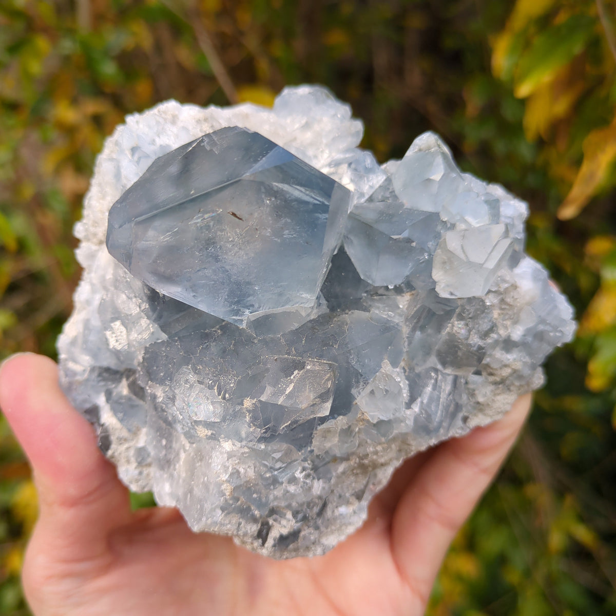 Celestite Cluster - Dark Blue from Green Door Living