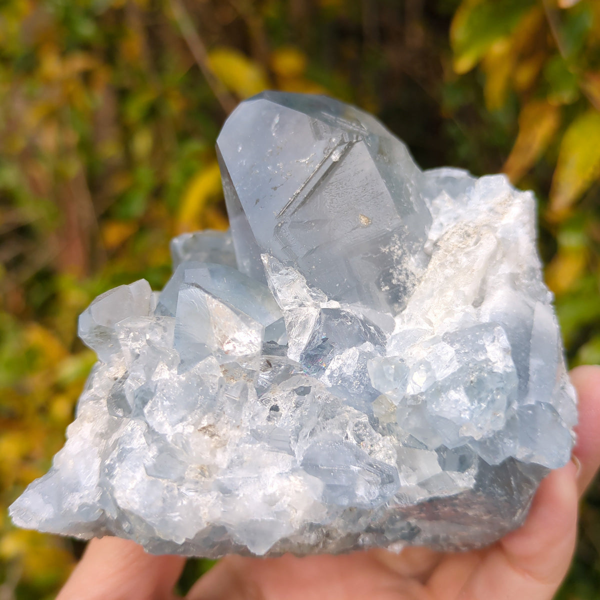Celestite Cluster - Dark Blue from Green Door Living