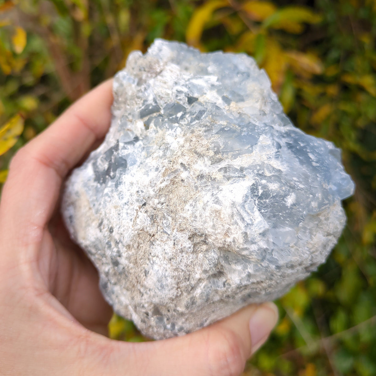 Celestite Cluster - Dark Blue from Green Door Living