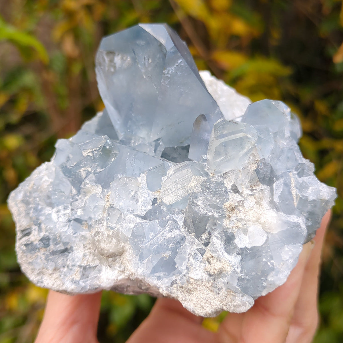 Celestite Cluster - Dark Blue from Green Door Living