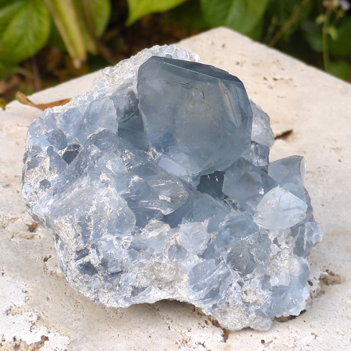 Celestite Cluster - Dark Blue from Green Door Living