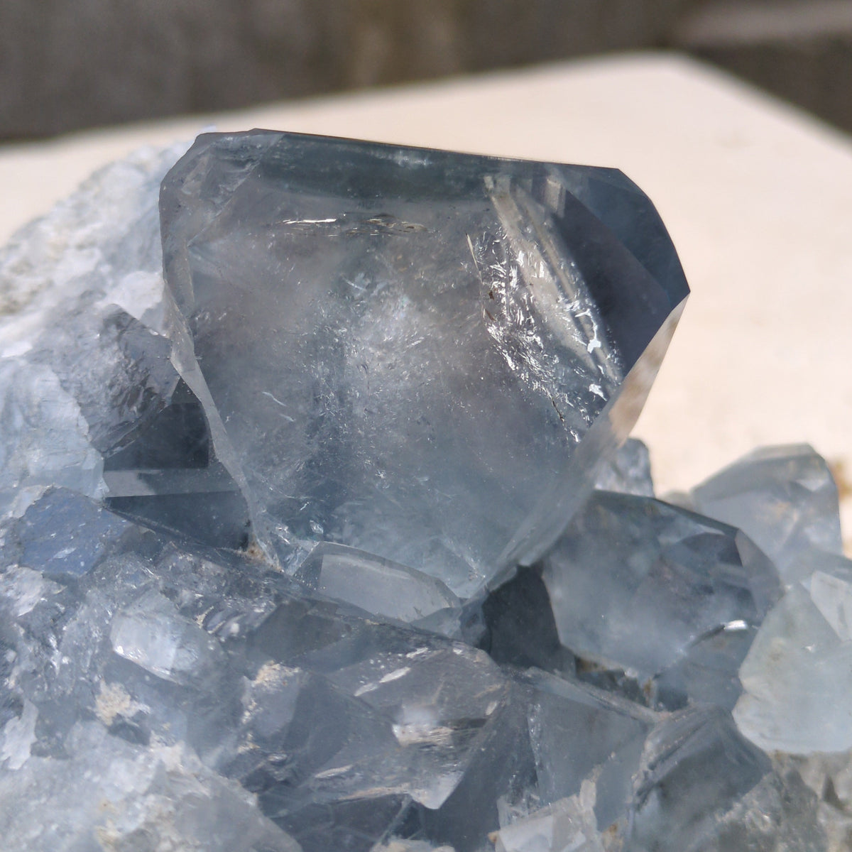 Celestite Cluster - Dark Blue from Green Door Living