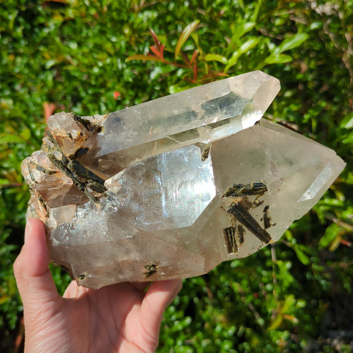 Epidote Included Quartz (Green) (19cm) - 1.6kg from Green Door Living