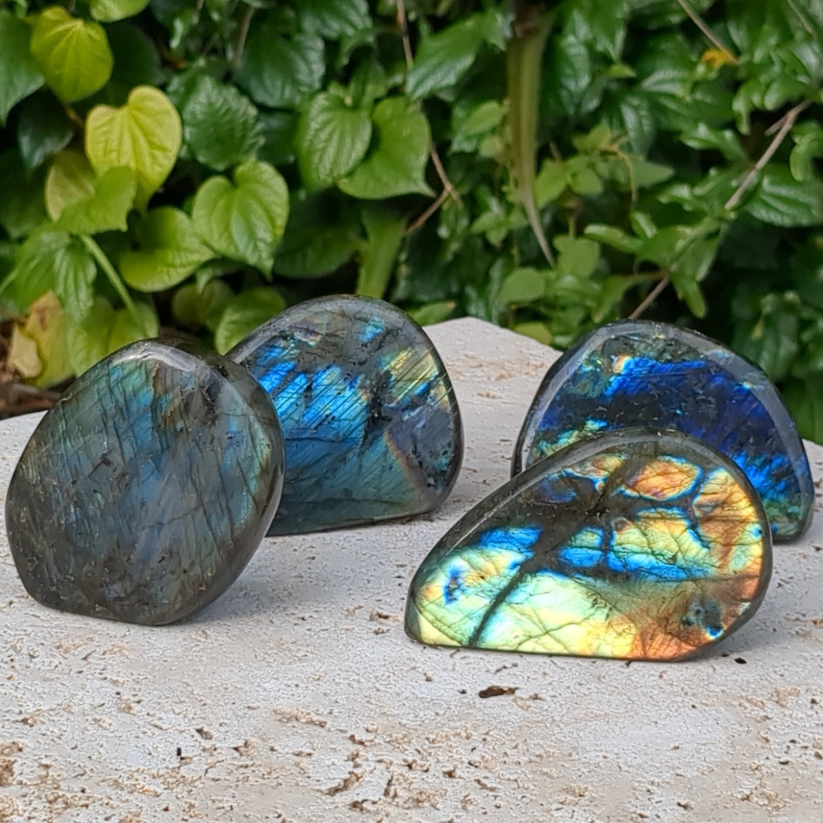 Labradorite Freeform (5-7cm) - 200-299g from Green Door Living