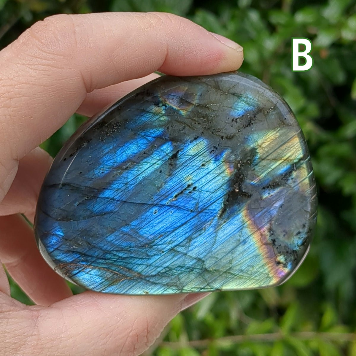 Labradorite Freeform (5-7cm) - 200-299g from Green Door Living LBF04-002 B