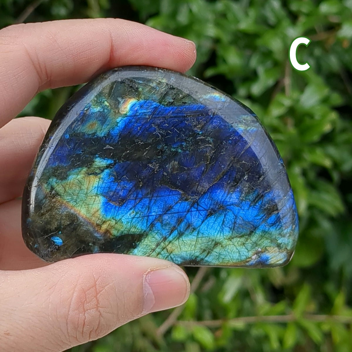 Labradorite Freeform (5-7cm) - 200-299g from Green Door Living LBF04-003 C