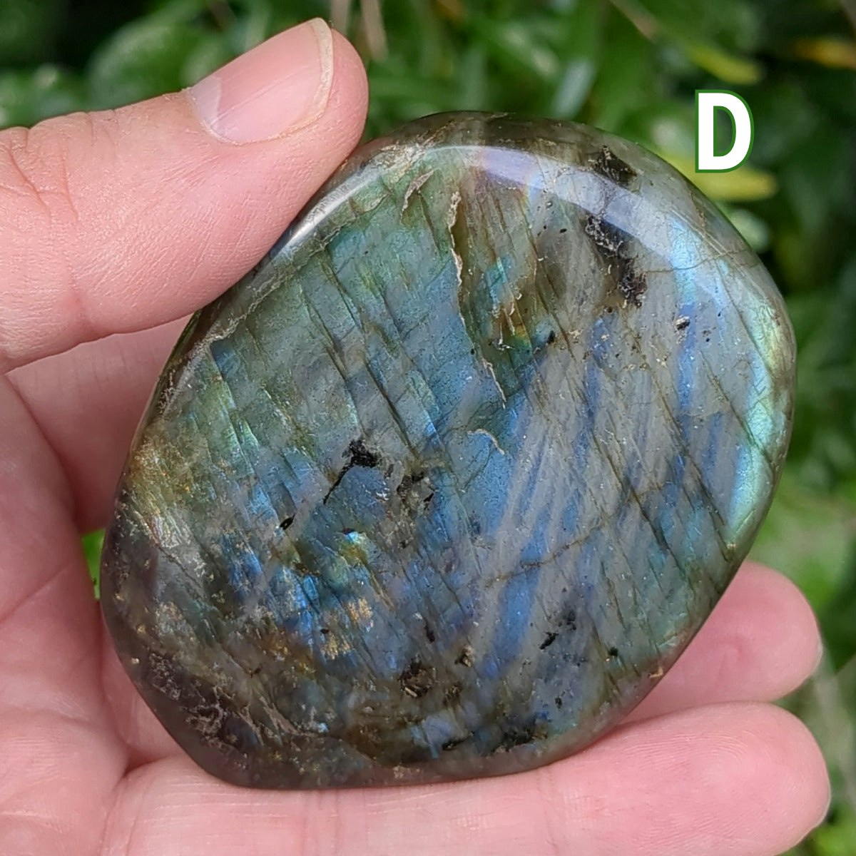 Labradorite Freeform (5-7cm) - 200-299g from Green Door Living LBF04-004 D