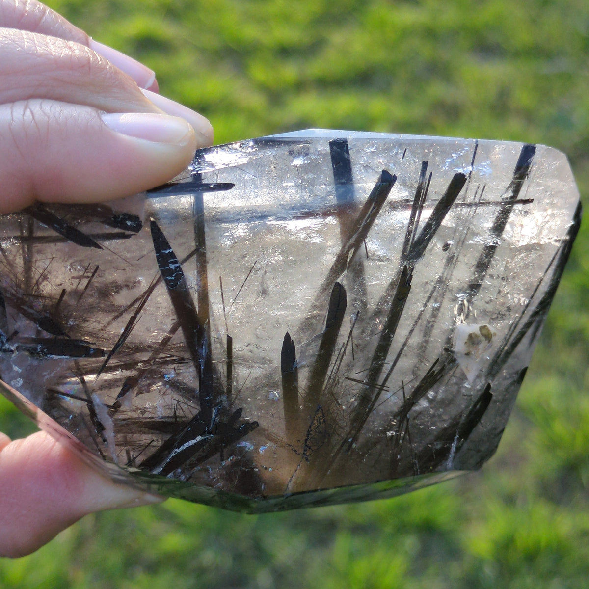 Tourmaline Quartz Freeform with Rainbow (10.8cm) - 439g from Green Door Living