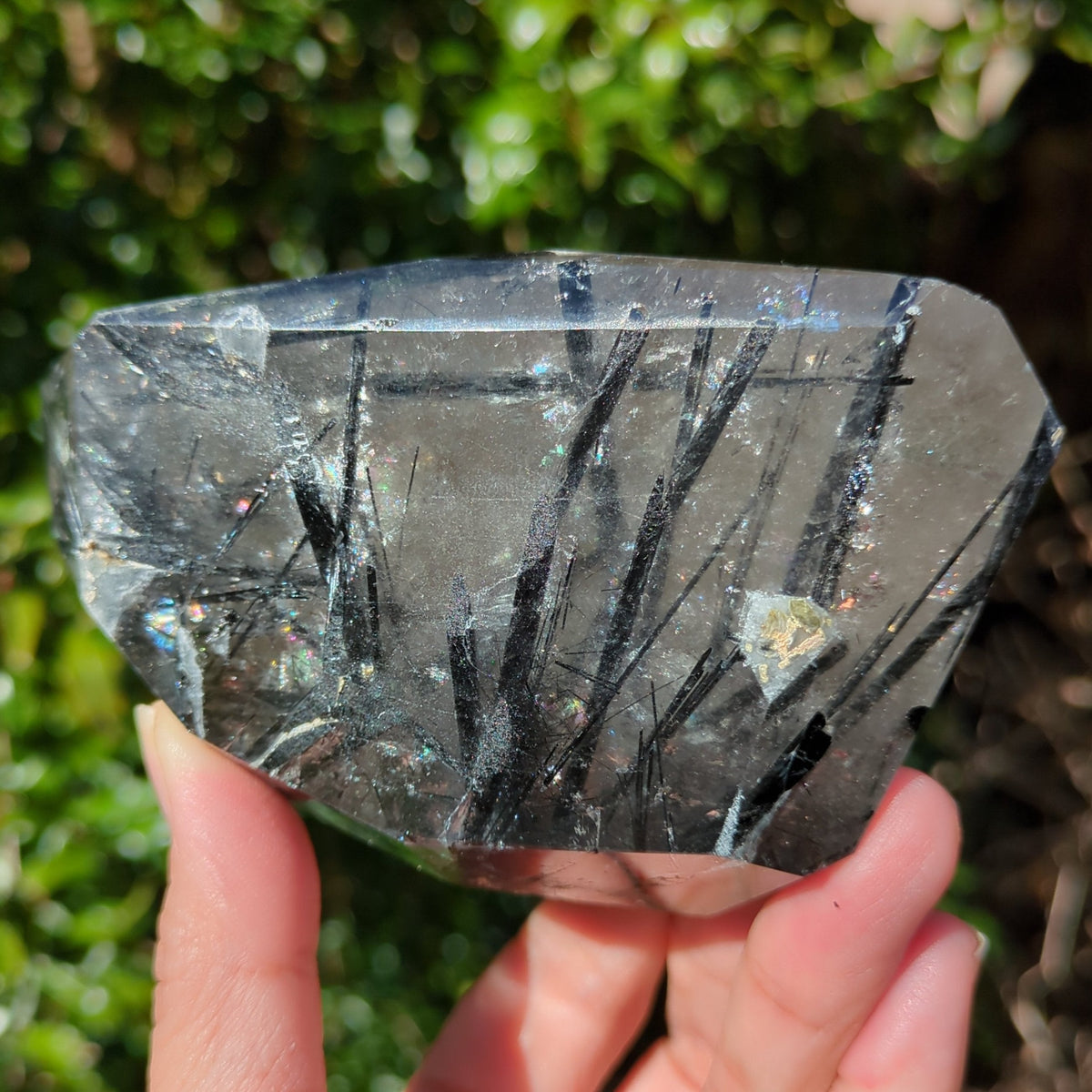 Tourmaline Quartz Freeform with Rainbow (10.8cm) - 439g from Green Door Living