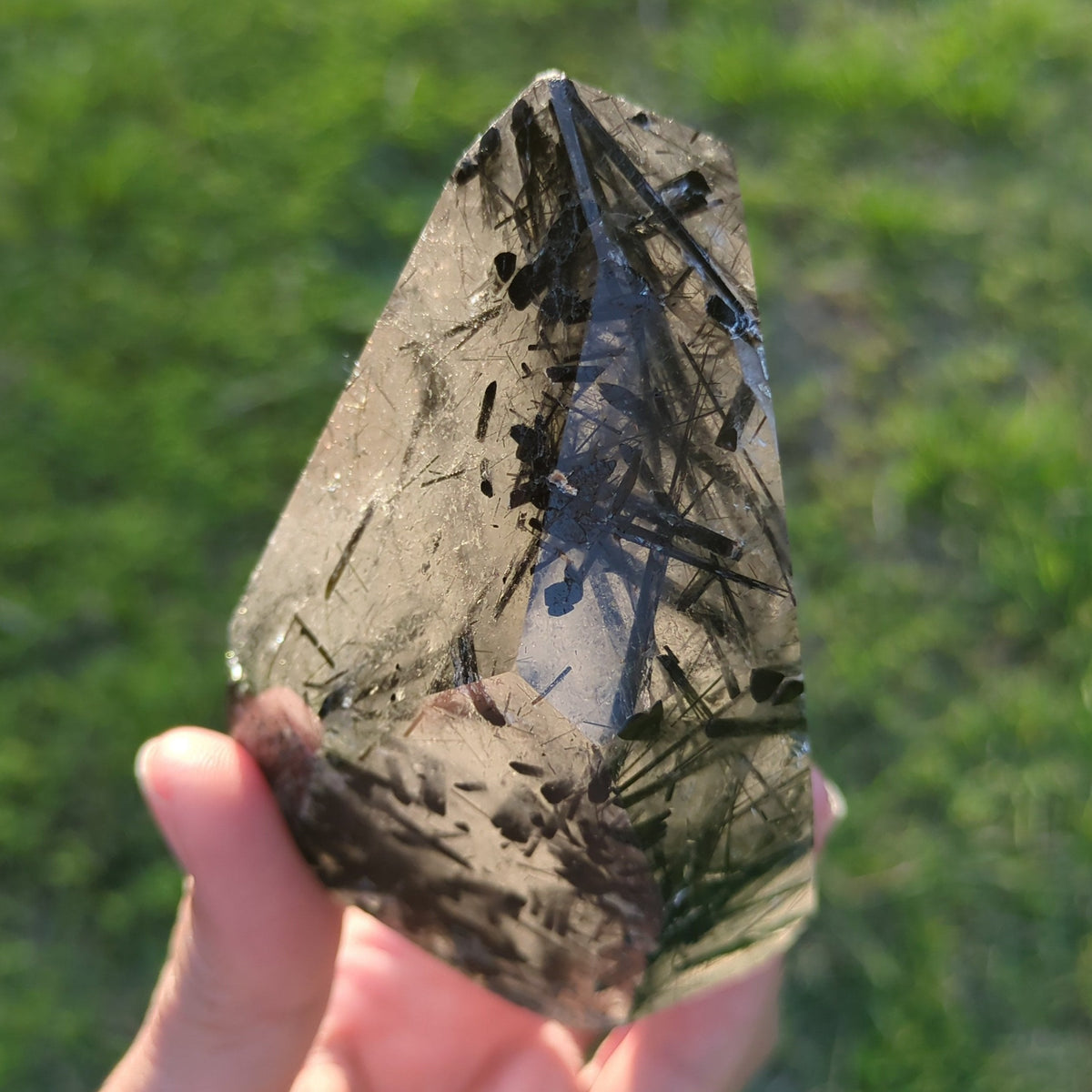 Tourmaline Quartz Freeform with Rainbow (10.8cm) - 439g from Green Door Living