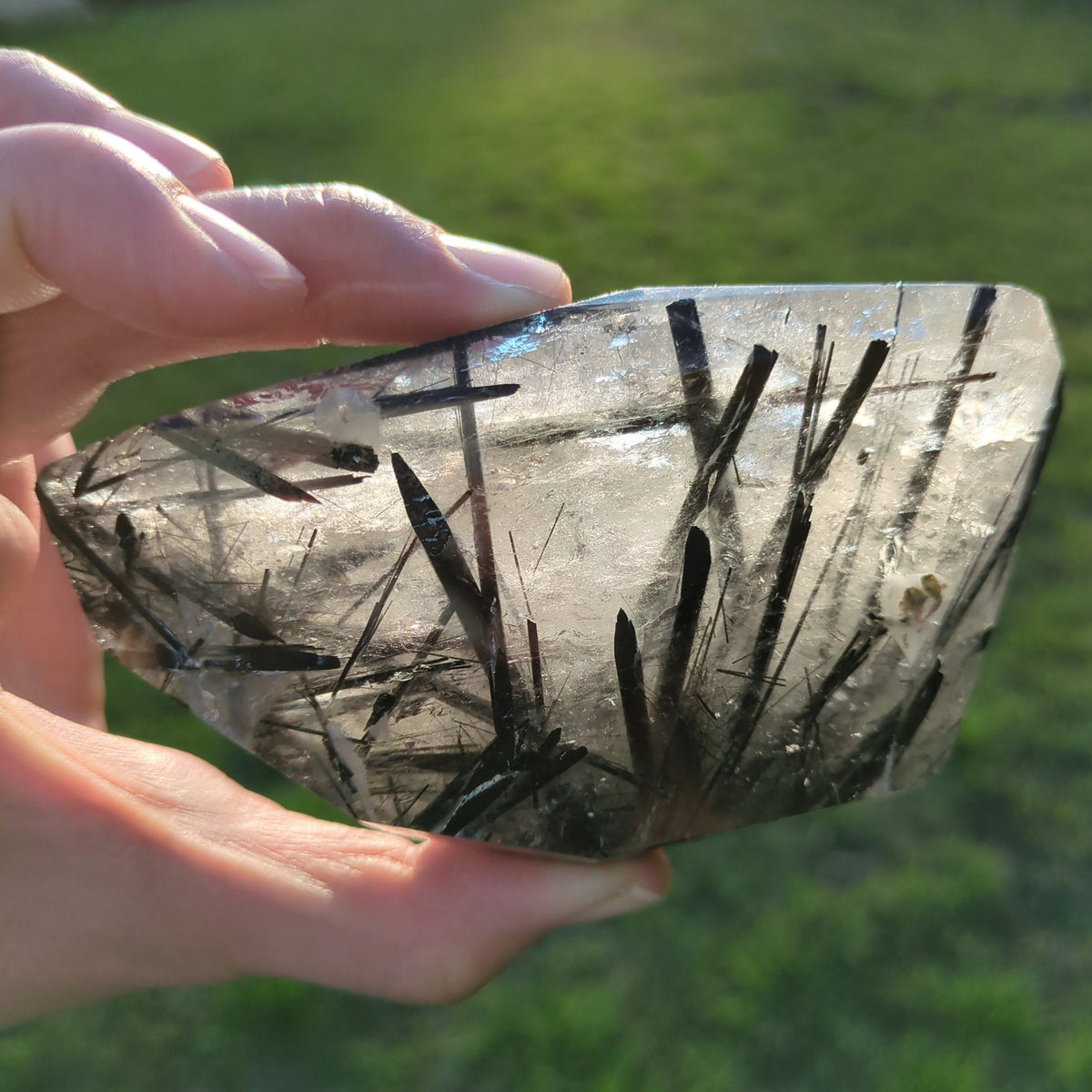 Tourmaline Quartz Freeform with Rainbow (10.8cm) - 439g from Green Door Living